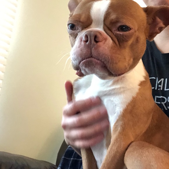 Meet your Posher, Raylene - Picture 5 of 5